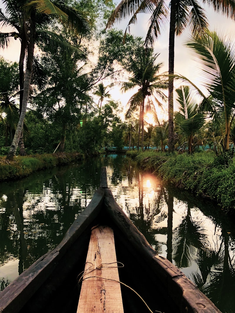 Alleppey houseboat night stay, Kerala tour package from Surat